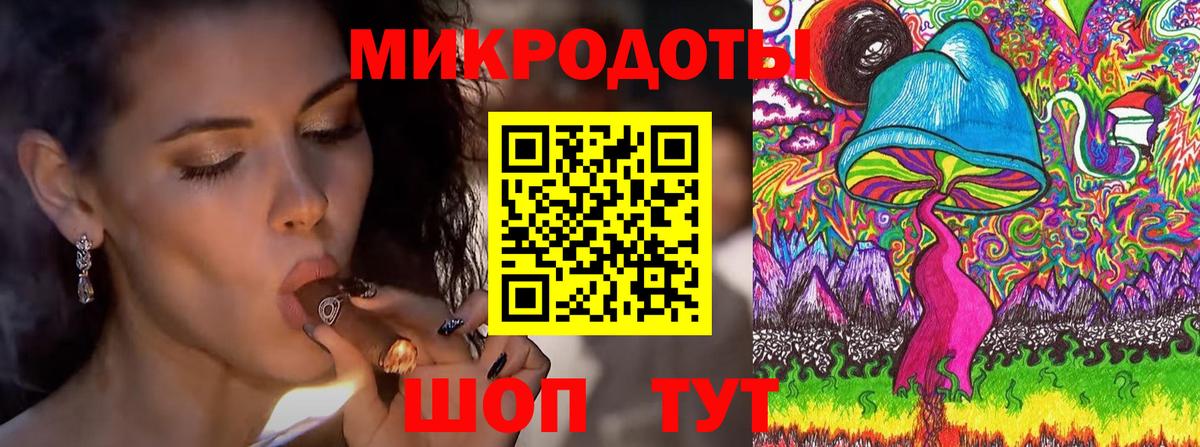 Галлюциногенные грибы Psilocybine cubensis Саранск