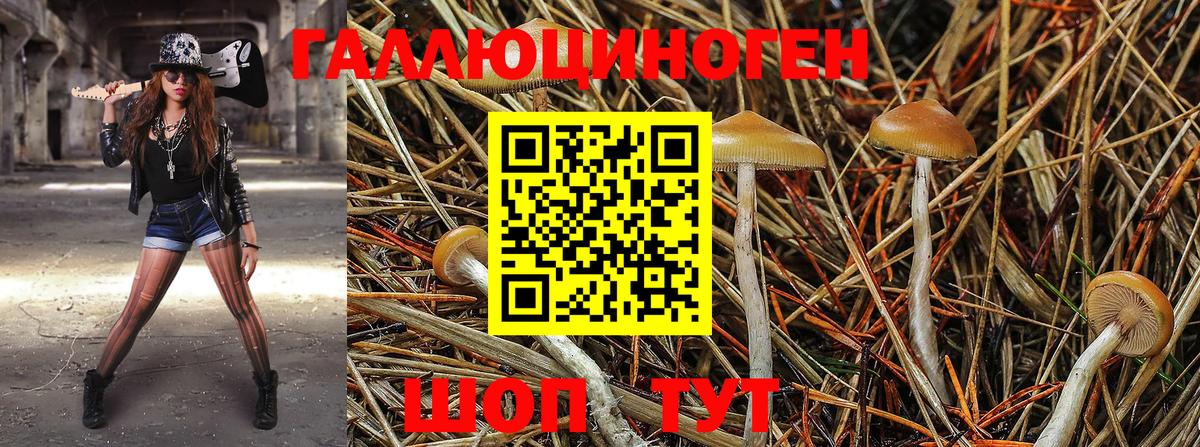 Саранск  Псилоцибиновые грибы MAGIC MUSHROOMS  Галлюциногенные грибы мухоморы  Вход с VPN 